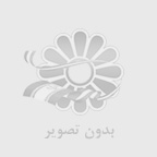 فیش حقوقی ضامن کارمند